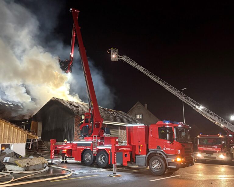 Riedt bei Erlen: Gewerbeliegenschaft in Vollbrand